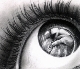 Vilet