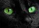 MoonlightKiss