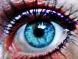 sylka_30