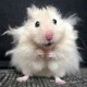 Annneczka