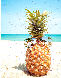 sweet pineapple